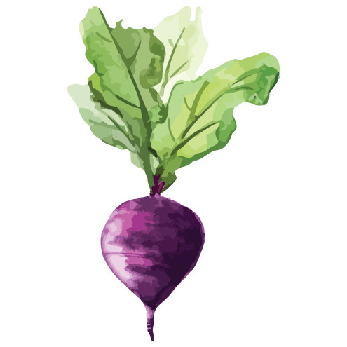 food-and-thought-beet